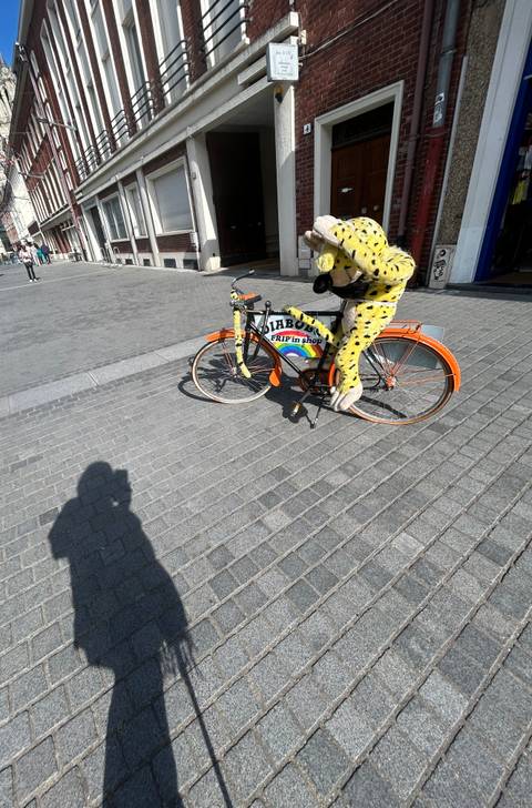 A colorful novelty bicycle with a stuffed mascot and rainbow signage is parked on a cobblestone street.