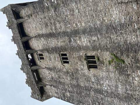 Upward view of a tall rough-stone castle wall with narrow medieval windows and crenellations against a grey sky.