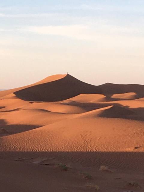 Golden sand dune peaks with a lone figure standing on the summit under soft warm light.
