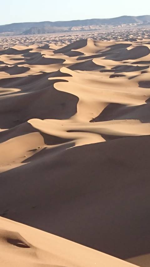 Abstract close-up patterns of light and shadow across dark and pale sand waves.
