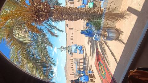 Open-air desert café decorated in vibrant blues overlooks vast sandy plains framed by palm trees.