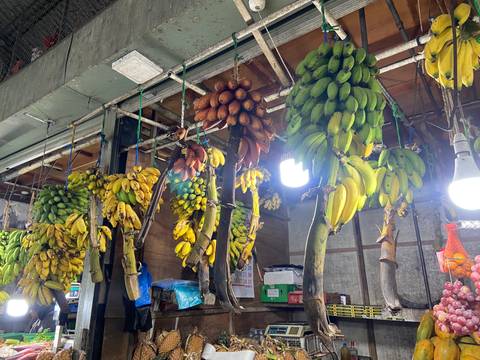Bunches of yellow, green and red bananas hang from ceiling hooks in a market stall.