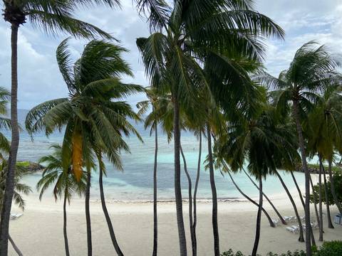 Tall palm trees framing a white-sand beach and turquoise lagoon