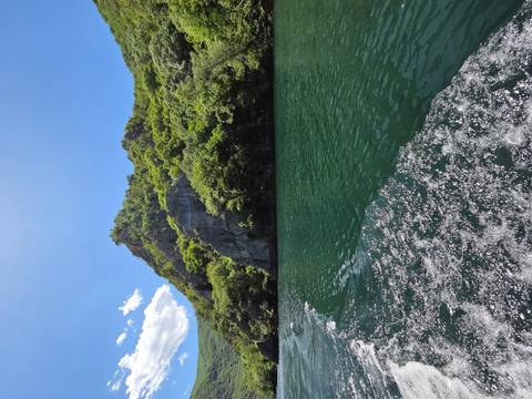 Green canyon lake with forested cliffs under bright blue sky seen from boat wake
