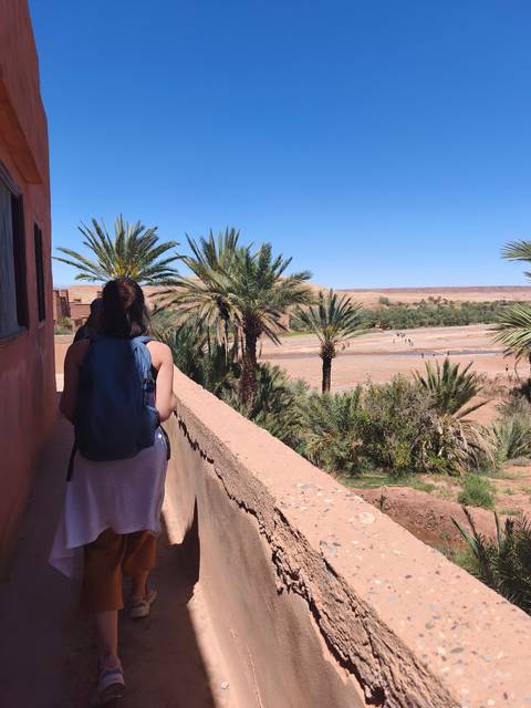 A backpacker on a terrace overlooks a palm-lined oasis and clay buildings under a clear sky.