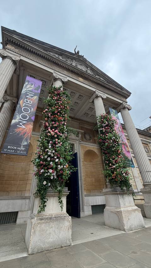 Grand museum entrance with neoclassical columns covered in vibrant floral displays and event banners.
