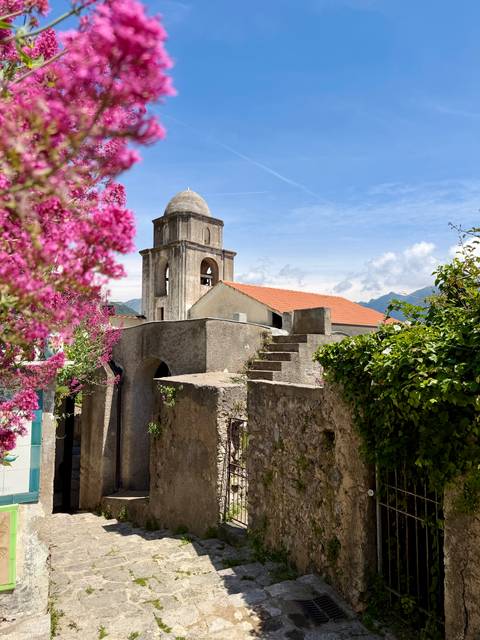 Stone bell tower rises behind vibrant pink bougainvillea and rustic village walls under bright sky.