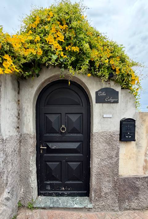 Arched black wooden door of a villa with stone walls and flowering vines overhead.
