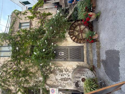 Rustic stone house façade covered in green vines, with an iron-grilled door and bright potted flowers.