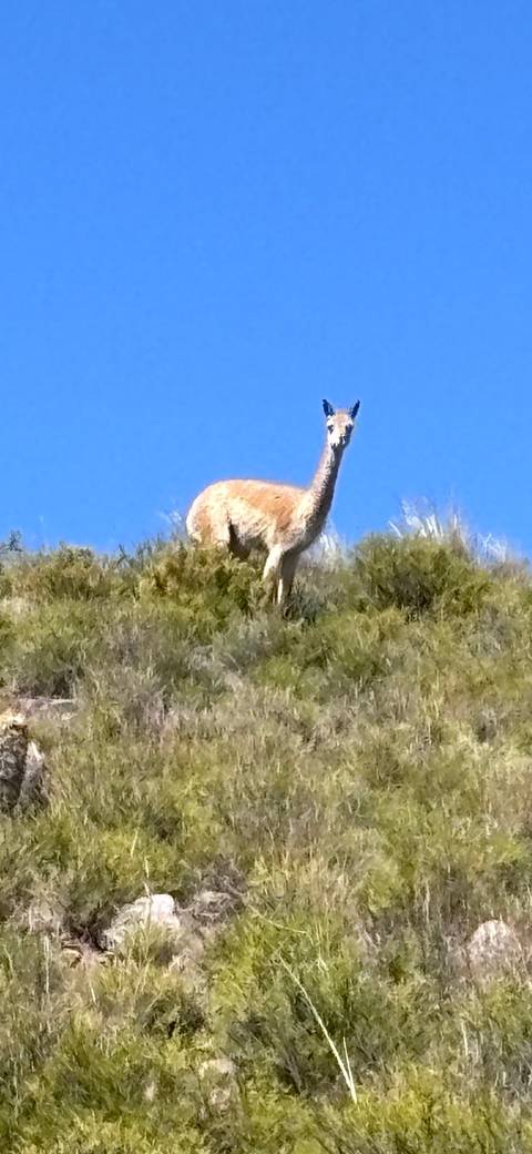 Photo d'avis client sur Aventure complète en Patagonie (22 jours)
