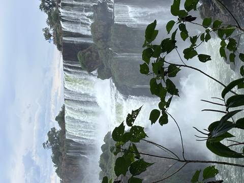 Powerful waterfalls plunge over a cliff framed by lush leaves in the foreground.