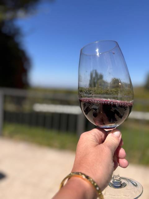 Close-up of a hand holding a half-filled wine glass with blurred countryside behind.