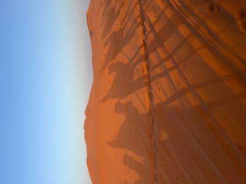 From Marrakech: 3 Day Round Trip From Marrakech and Back Via Merzouga Desert & Camel Trek customer review photo