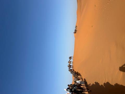 From Marrakech: 3 Day Round Trip From Marrakech and Back Via Merzouga Desert & Camel Trek customer review photo
