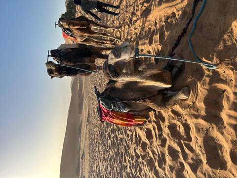 From Marrakech: 3 Day Round Trip From Marrakech and Back Via Merzouga Desert & Camel Trek customer review photo