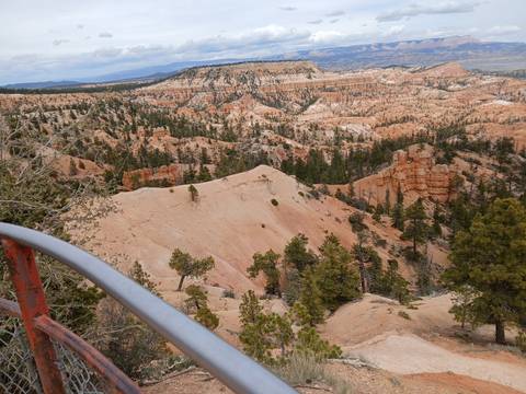 Sweeping vista over Bryce Canyon's orange hoodoos and pine-studded ridges beneath a blue sky.