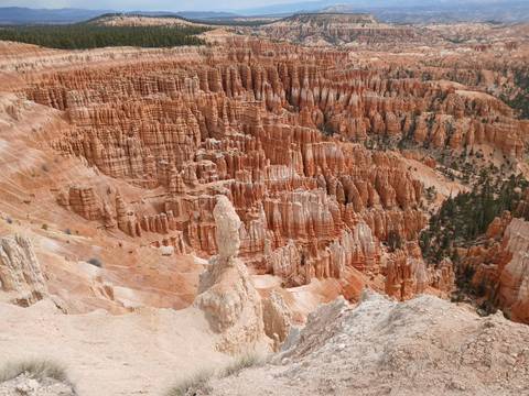 Deep amphitheatre of densely packed orange hoodoos in Bryce Canyon under soft light.