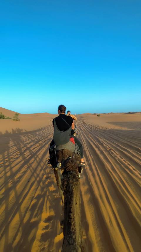 From Marrakech: 3 Day Round Trip From Marrakech and Back Via Merzouga Desert & Camel Trek customer review photo