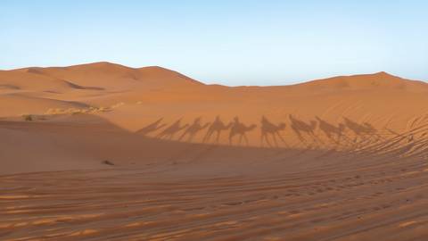 From Marrakech: 3 Day Round Trip From Marrakech and Back Via Merzouga Desert & Camel Trek customer review photo