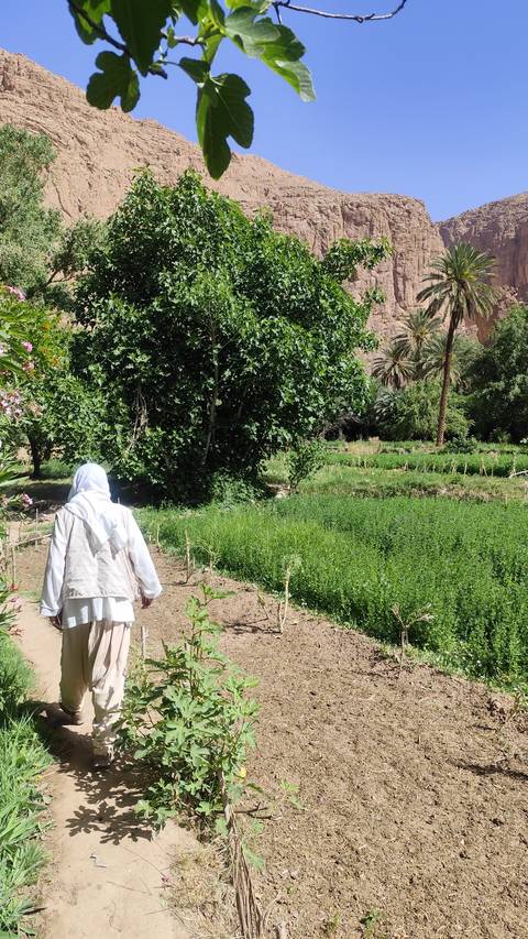 From Marrakech: 3 Day Round Trip From Marrakech and Back Via Merzouga Desert & Camel Trek customer review photo