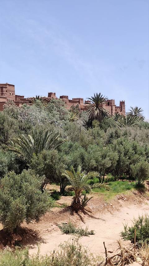 From Marrakech: 3 Day Round Trip From Marrakech and Back Via Merzouga Desert & Camel Trek customer review photo