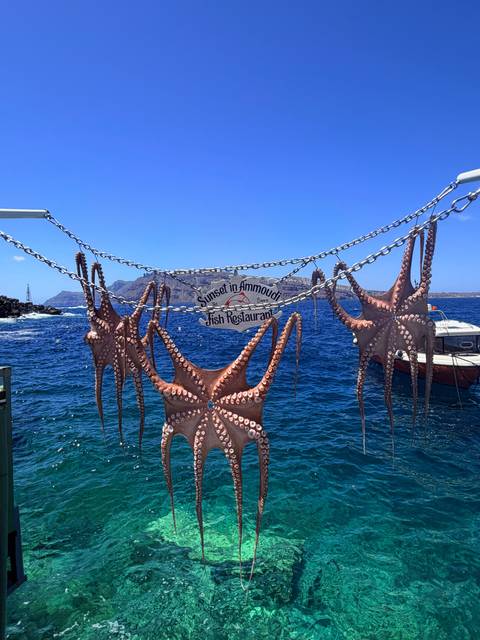 Dried octopus hanging on chains in front of a sign for a seaside fish restaurant with deep blue water behind.