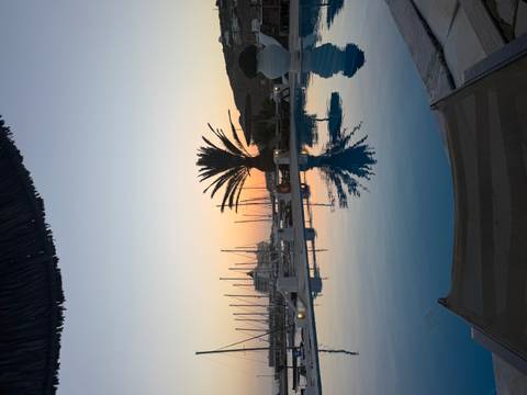 Serene pool with a palm tree reflection and marina masts at sunset.