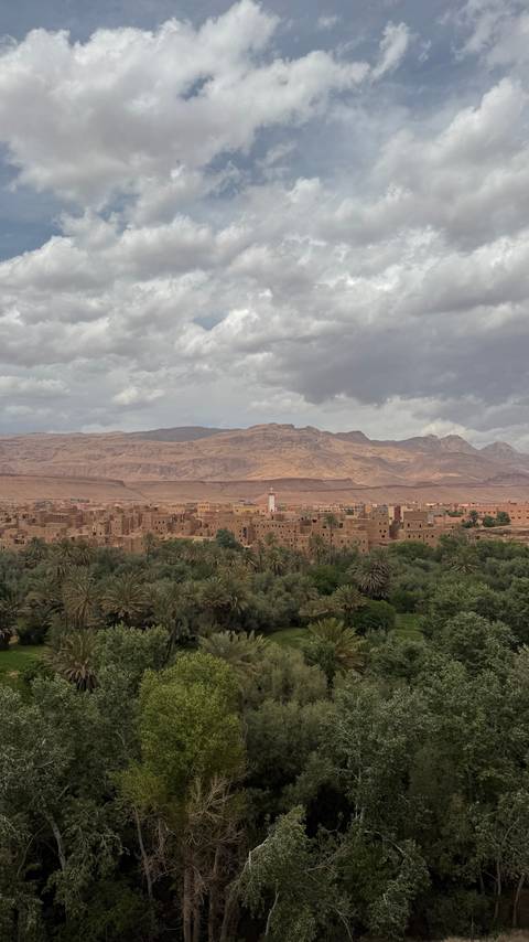Adobe-style desert town with a palm oasis in the foreground and rugged mountains beneath a cloudy sky