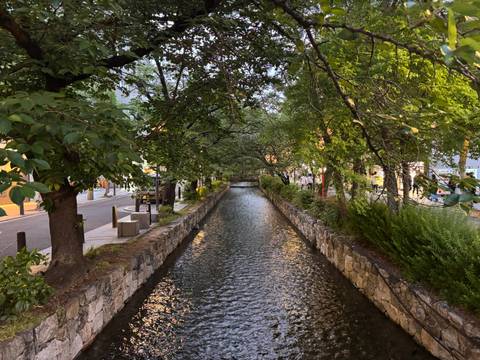 Picturesque tree-lined canal flanked by stone walls in evening light