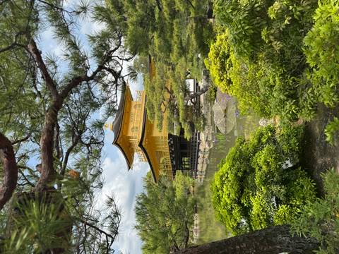 Golden Pavilion temple reflected in pond framed by pine branches