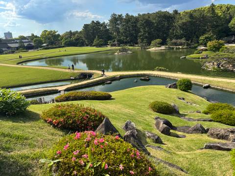 Beautiful landscaped Japanese garden with ponds, curving bridges and flowering shrubs
