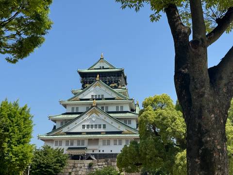Front view of Osaka Castle with blue sky framed by trees