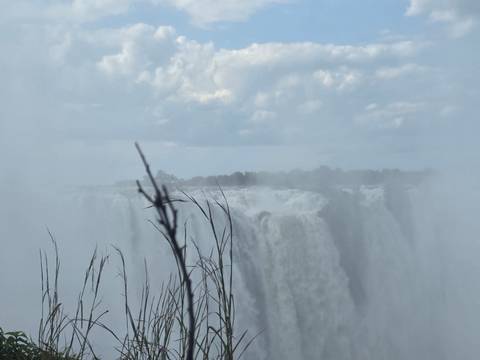 Side view of Victoria Falls curtain framed by reeds and drifting spray under cloudy sky.
