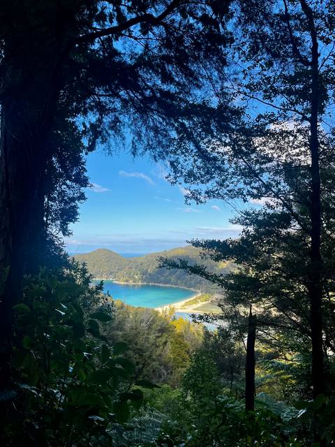 Turquoise bay seen through natural tree frame along forest trail in Abel Tasman National Park