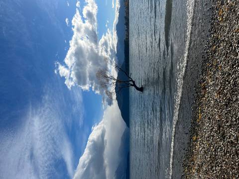 Iconic lone willow tree standing in Lake Wanaka beneath dramatic sky and mountains