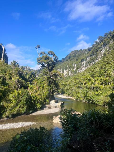 Verdant river gorge with towering limestone cliffs and dense subtropical vegetation