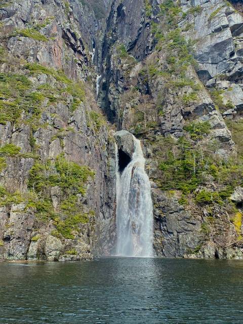 High waterfall cascades down a sheer forested rock face surrounded by evergreen trees.