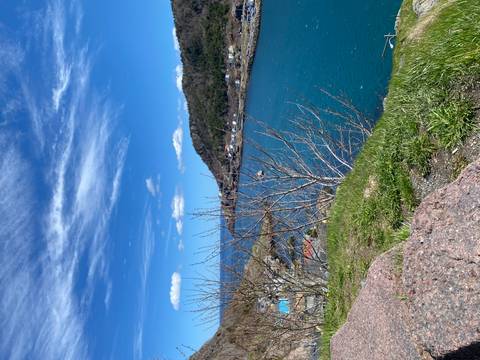 Bright turquoise harbour waters curve between tree-covered hills under a crisp spring sky.