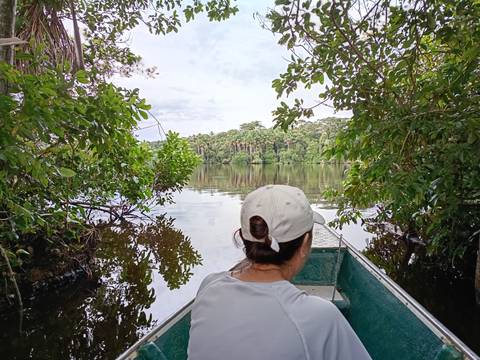 Traveller in a small green boat drifting through a calm rainforest lake framed by thick vegetation.