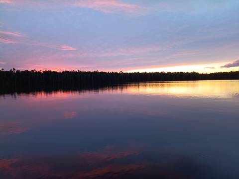Serene rainforest lake reflecting a vivid pink and purple sunset sky.