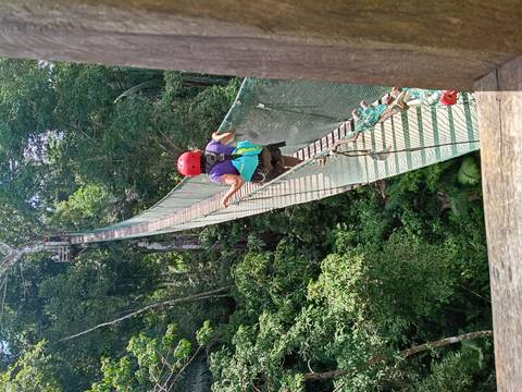 Adventurer in helmet and harness crossing a narrow hanging bridge high above rainforest canopy.