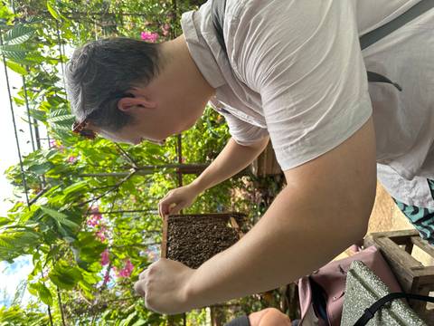 Traveller holds up a wooden frame densely covered with live bees during a farm demonstration.