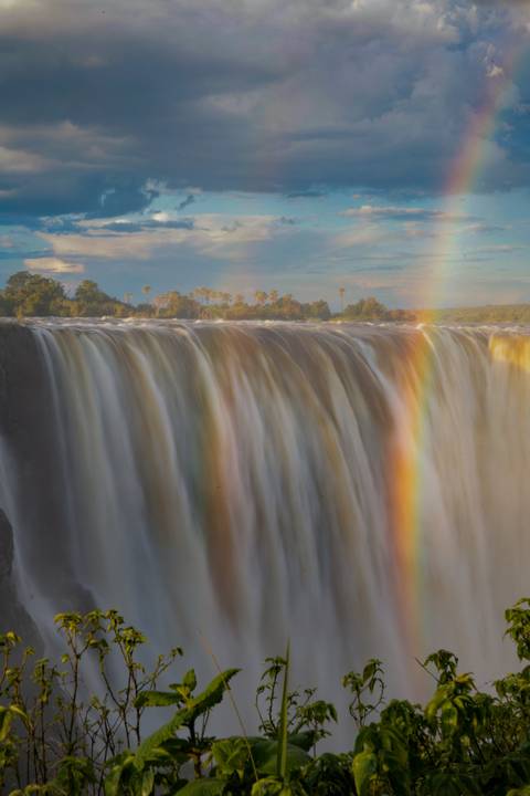 Powerful curtain of Victoria Falls with a vivid rainbow arching through the mist under a blue sky.