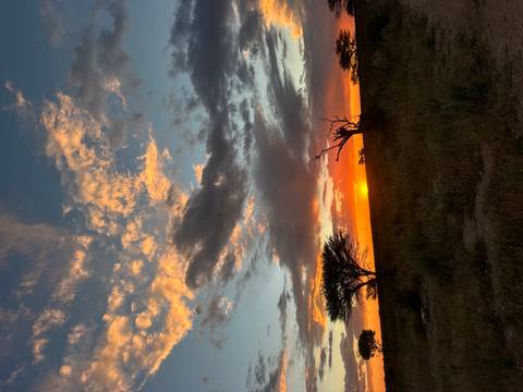 Orange sun setting behind scattered clouds on an open savanna with acacia silhouettes.