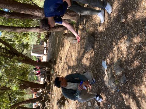 Two travellers crouch in a shaded forest clearing to offer food to a curious Barbary macaque.