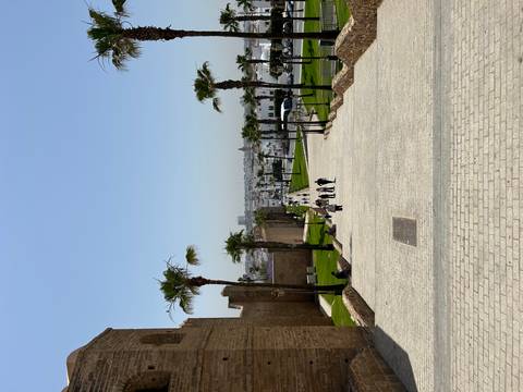 Stone walkway lined with palm trees slopes down from fortress walls toward the white cityscape of Rabat.
