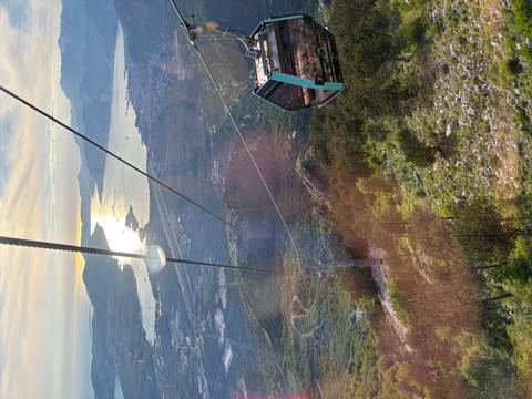 Cable-car ride high above forested slopes with glittering bay and mountains at golden hour.