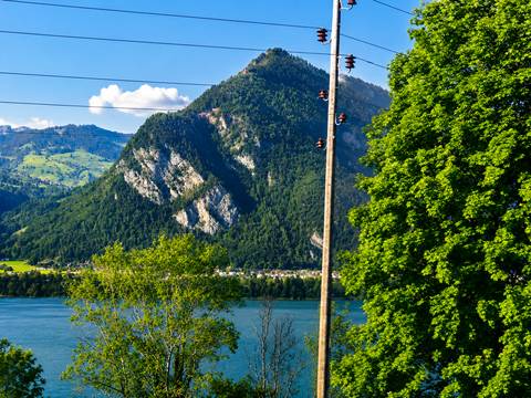 Mountain rising above a lake partly obscured by trees and power lines in the foreground.