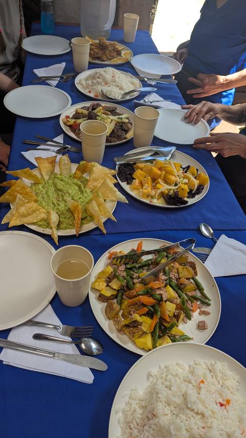 Colorful spread of Peruvian dishes including guacamole and vegetable salads arranged on a blue-covered table.