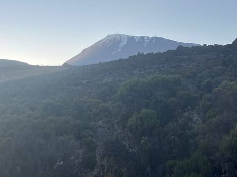 Hazy view of Mount Kilimanjaro's snow-capped summit rising above dark volcanic scrub.